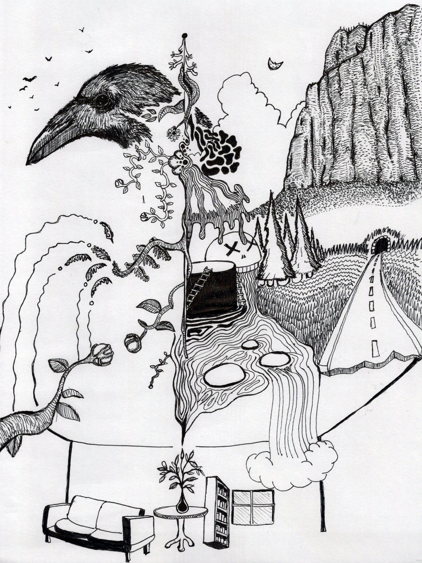 Black Bird