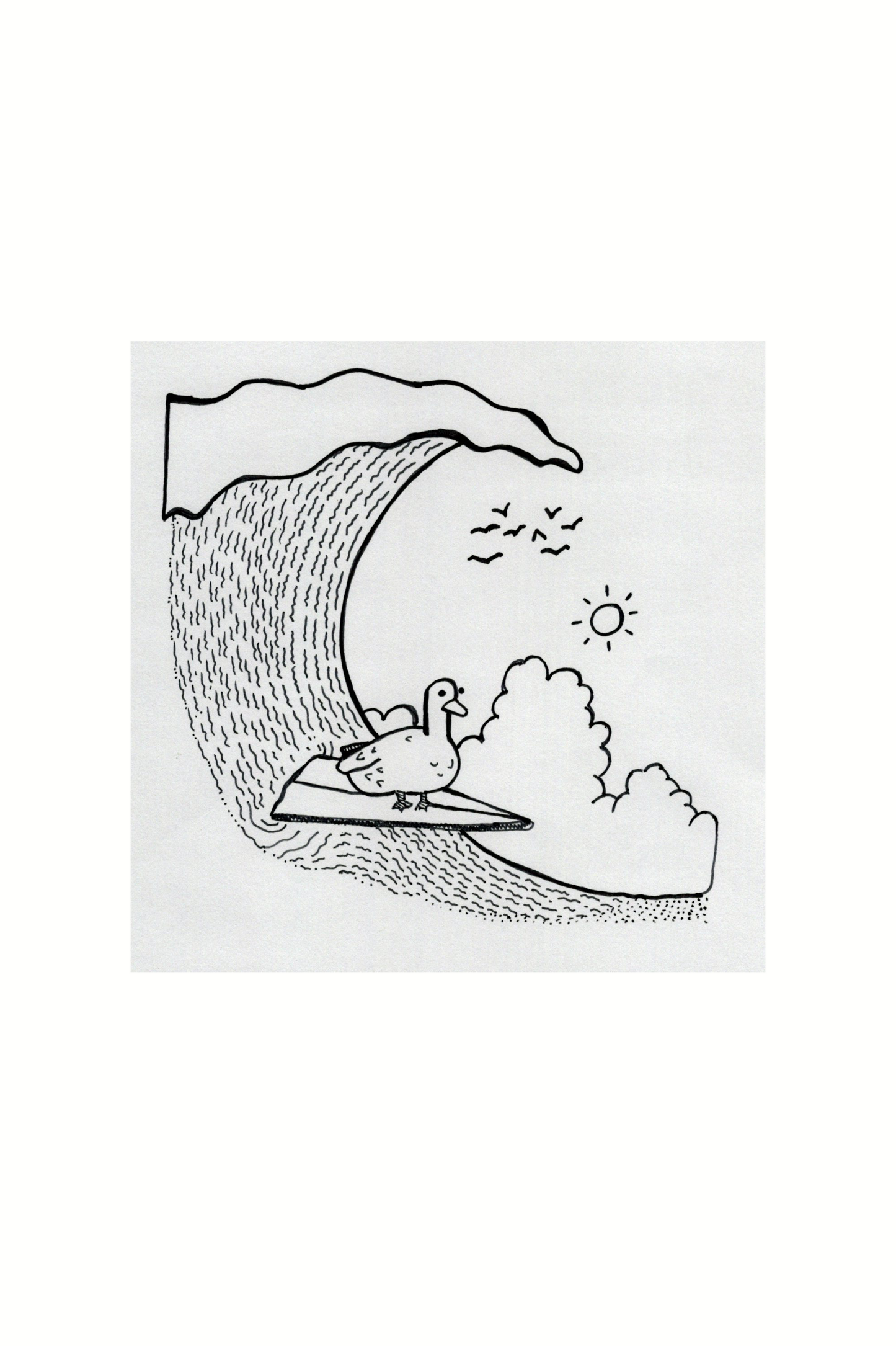 Duck on a Surfboard