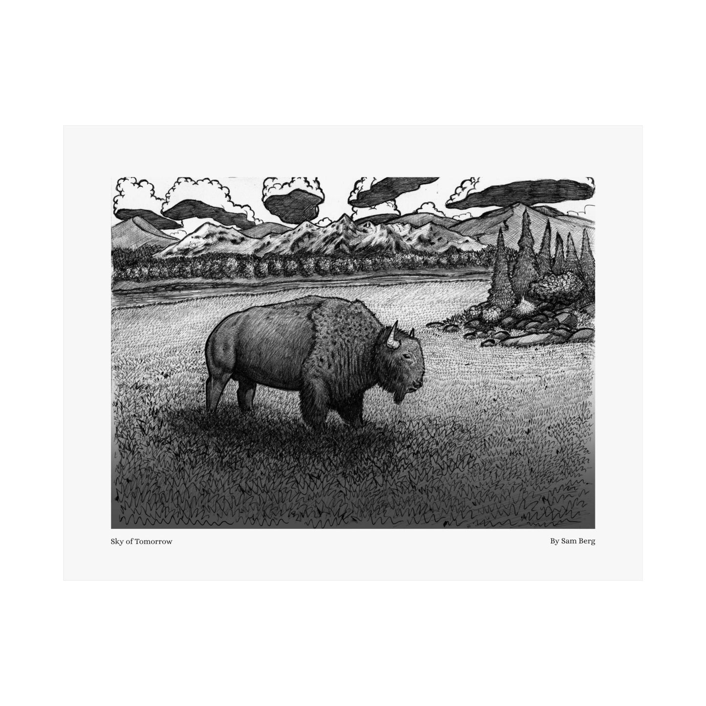 Print of "Bison"