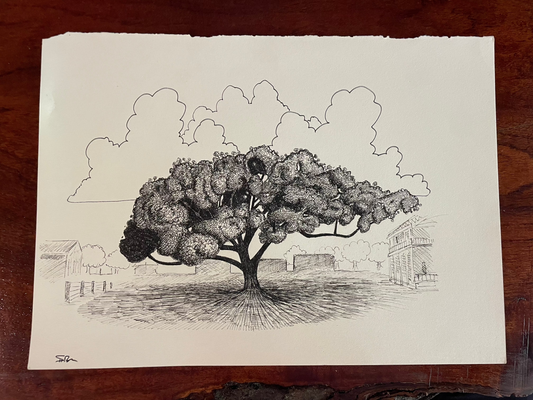 The Columbus Oak Original